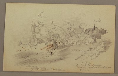 Disegno, Alberi, forse 1860 da Frederic Edwin Church