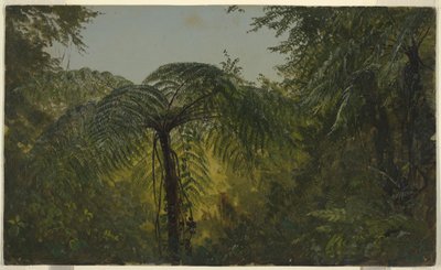 Disegno, Paesaggio tropicale, giugno o luglio 1865 da Frederic Edwin Church