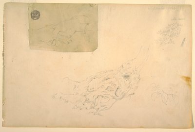 Disegno, Due mani che si stringono, radici d