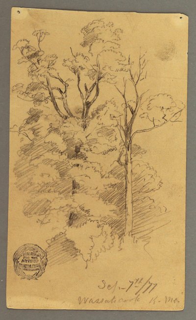 Disegno, Due alberi, 1877 da Frederic Edwin Church