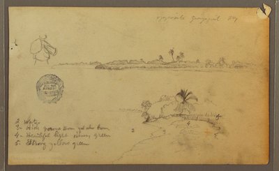 Disegno, Veduta della riva orientale del fiume Guayas, di fronte a Guayaquil, Ecuador, maggio 1857 da Frederic Edwin Church