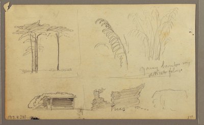 Disegno, Veduta della riva orientale del fiume Guayas, di fronte a Guayaquil, Ecuador, maggio 1857 da Frederic Edwin Church