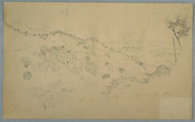 Disegno, valle boscosa con una grande felce e distanti catene montuose, Giamaica, luglio 1865 da Frederic Edwin Church