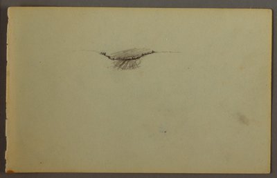 Disegno, Immersione boschiva al tramonto, forse 1844 da Frederic Edwin Church