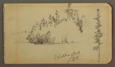 Disegno, Riva boscosa, studio di un albero, 1878 da Frederic Edwin Church
