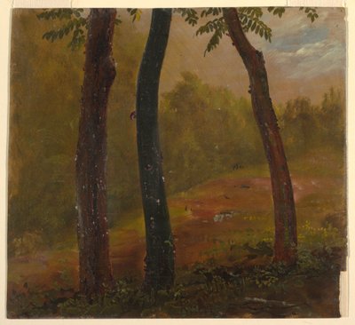 Disegno, scena di bosco, Giamaica, 1865 da Frederic Edwin Church