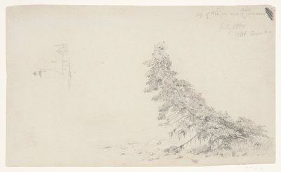 Albero sempreverde vicino alla riva con un dettaglio del faro e una casa, Mount Desert, Maine da Frederic Edwin Church