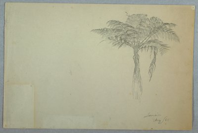 Studio di albero di felce, Giamaica da Frederic Edwin Church