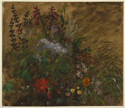 Fiori in Giamaica da Frederic Edwin Church
