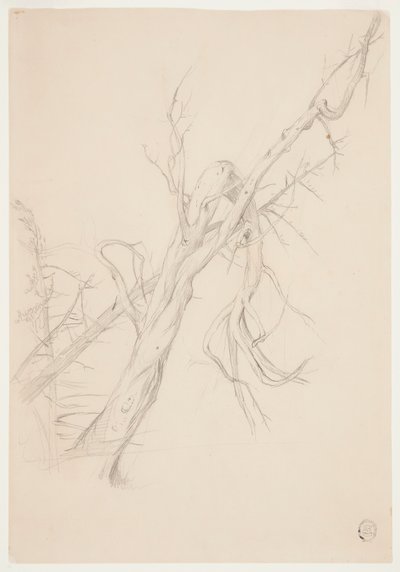 Albero Secco Nodoso da Frederic Edwin Church