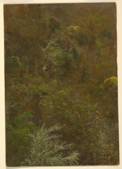 Collina con alberi, Giamaica da Frederic Edwin Church