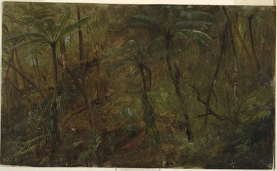 Nel bosco, Giamaica da Frederic Edwin Church