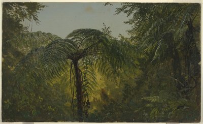 Fogliame della giungla, Giamaica da Frederic Edwin Church