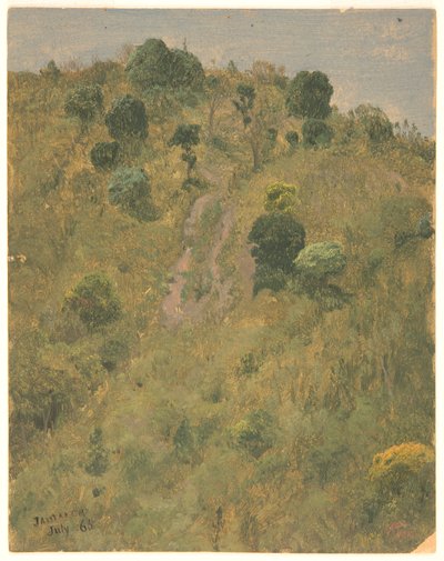Paesaggio, Giamaica da Frederic Edwin Church