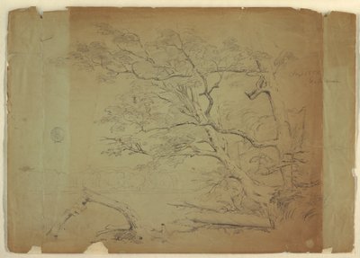 Paesaggio con alberi e un ruscello [?], Isola di Grand Manan, Canada da Frederic Edwin Church
