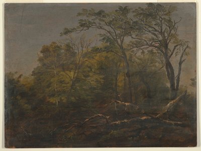 Boschi del Maine da Frederic Edwin Church