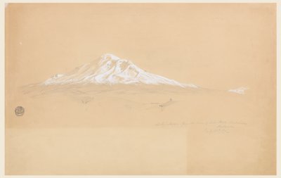 Monte Chimborazo dalla Casa di Senior Pablo Bustamante, Riobamba, Ecuador da Frederic Edwin Church