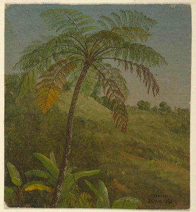 Palma, Giamaica da Frederic Edwin Church