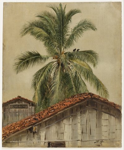 Palme e cime delle case, Ecuador da Frederic Edwin Church