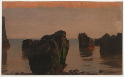 Rocce e muschio al largo di Grand Manan da Frederic Edwin Church