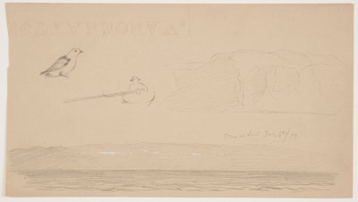 Schizzi dal Labrador di neve sulla terra, uomo in barca e uccello da Frederic Edwin Church