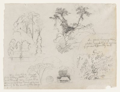 Schizzi dal Sud America, probabilmente dalla Colombia.  Schizzi botanici.  Una casa. da Frederic Edwin Church