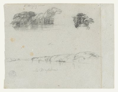 Schizzi di alberi, viti e una riva del Rio Magdalena, Colombia da Frederic Edwin Church