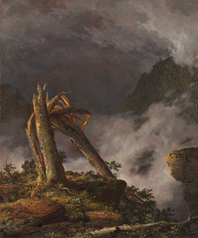 Tempesta nelle montagne da Frederic Edwin Church