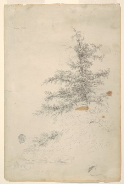 Albero, ruscello da Frederic Edwin Church