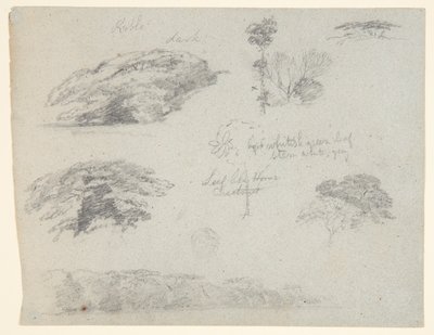 Alberi, cime degli alberi e una sponda boscosa, Saddleback, Maine da Frederic Edwin Church
