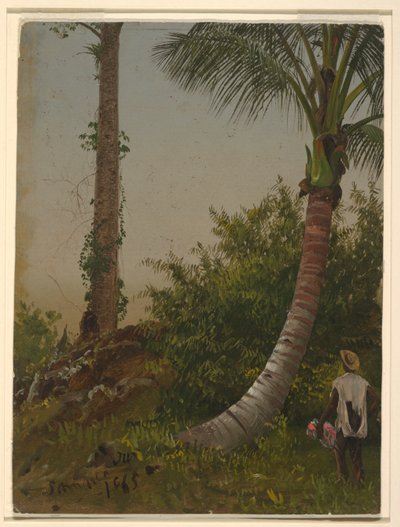 Alberi in Giamaica, Indie Occidentali da Frederic Edwin Church