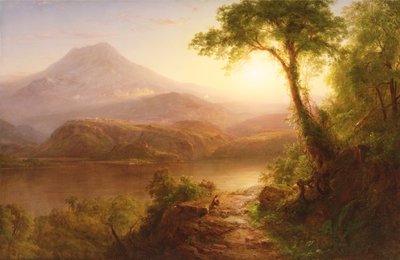 Paesaggio tropicale: paesaggio sudamericano da Frederic Edwin Church