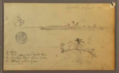Vedute della riva est del fiume Guayas, di fronte a Guayaquil, Ecuador da Frederic Edwin Church