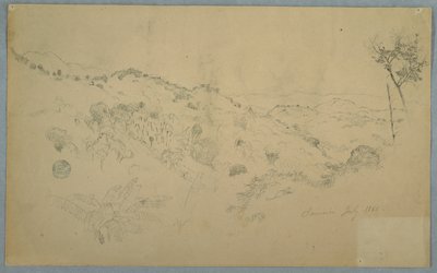 Valle Boscosa con una Grande Felce e Catene Montuose Distanti, Giamaica da Frederic Edwin Church