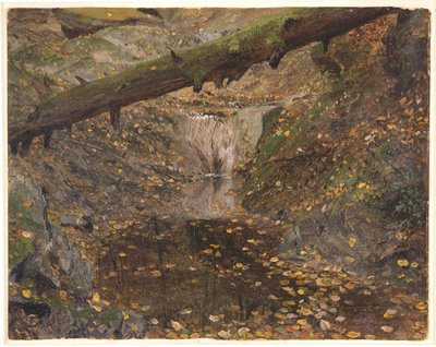Ruscello nel bosco, forse Mt. Desert, Maine da Frederic Edwin Church