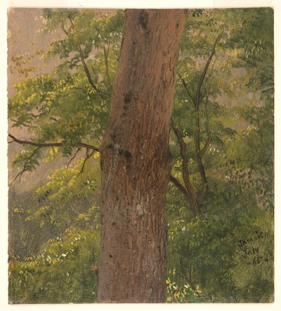 Studio del Bosco, Giamaica da Frederic Edwin Church