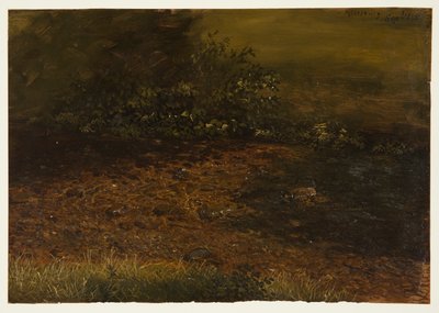 Ruscello nel bosco nei Catskills da Frederic Edwin Church