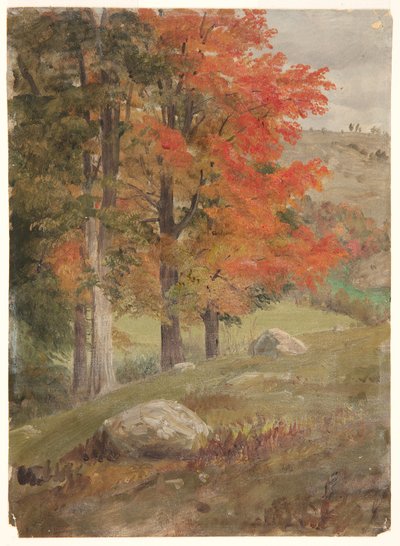 Boschi in autunno da Frederic Edwin Church