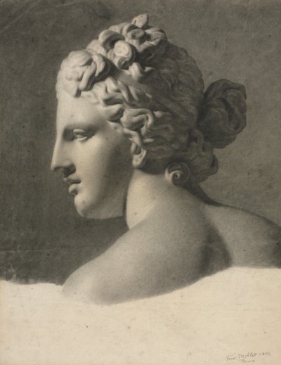 Studio di un calco in gesso (a la bosse) da Frederic Millet