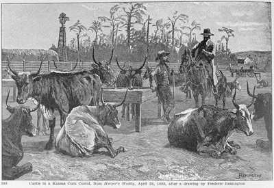 Bovini in un recinto di mais del Kansas, illustrazione da 