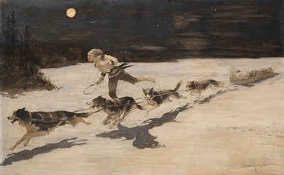 Cani "Huskie" sull