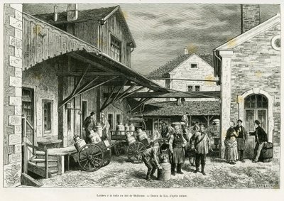Caseificio alla Milk Hall di Mulhouse da Frederic Theodore Lix