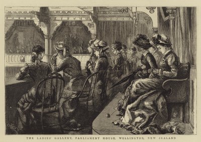 La Galleria delle Signore, Parlamento, Wellington, Nuova Zelanda da Frederic Villiers