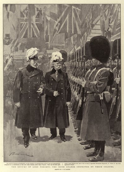 Il Ritorno di Lord Roberts, le Guardie Irlandesi ispezionate dal loro Colonnello da Frederic de Haenen