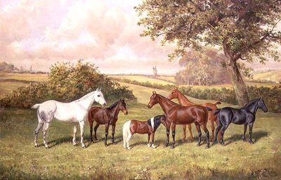 Un Gruppo di Pony da Frederick Albert Clark