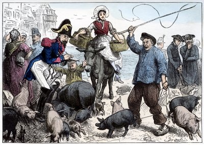 Mercato dei maiali, Boulogne da Frederick Barnard