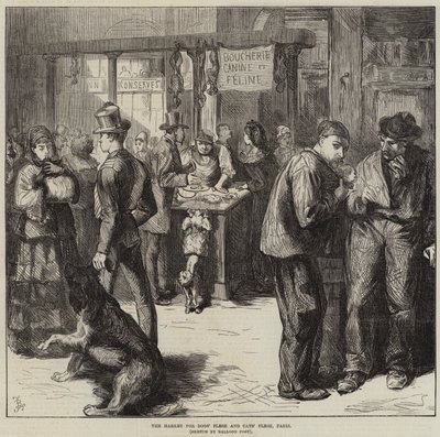 Il mercato della carne di cane e di gatto, Parigi da Frederick Barnard