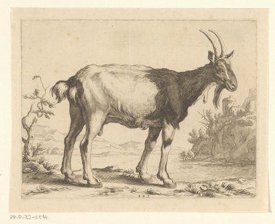 Capra da Frederick Bloemaert