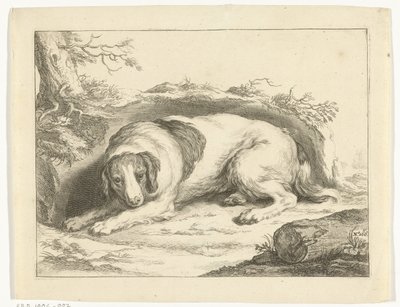 Spaniel da Frederick Bloemaert