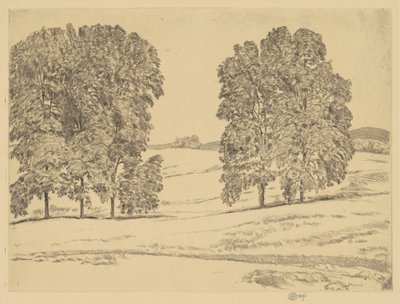 Noci in un campo di fieno, 1917 da Frederick Childe Hassam